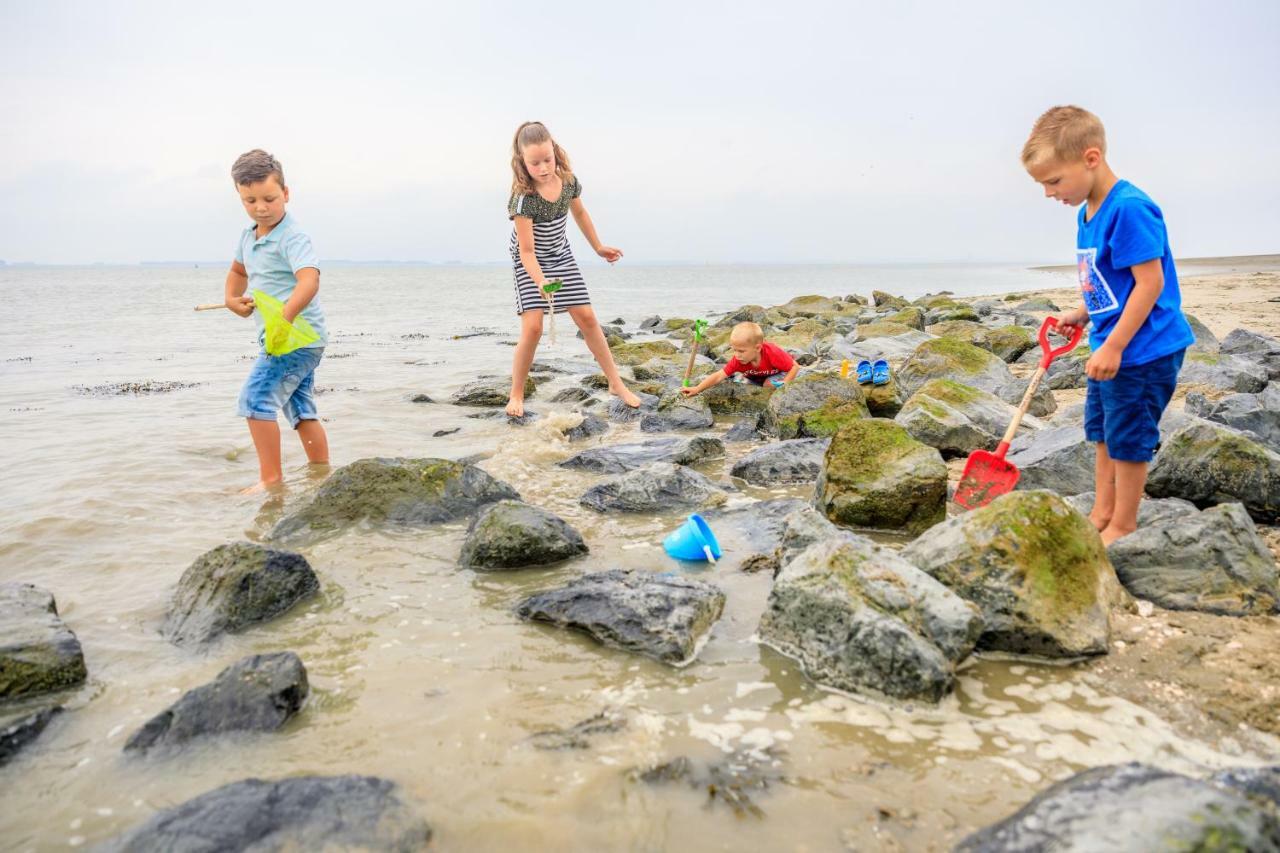 Camping Scheldeoord Baarland Εξωτερικό φωτογραφία